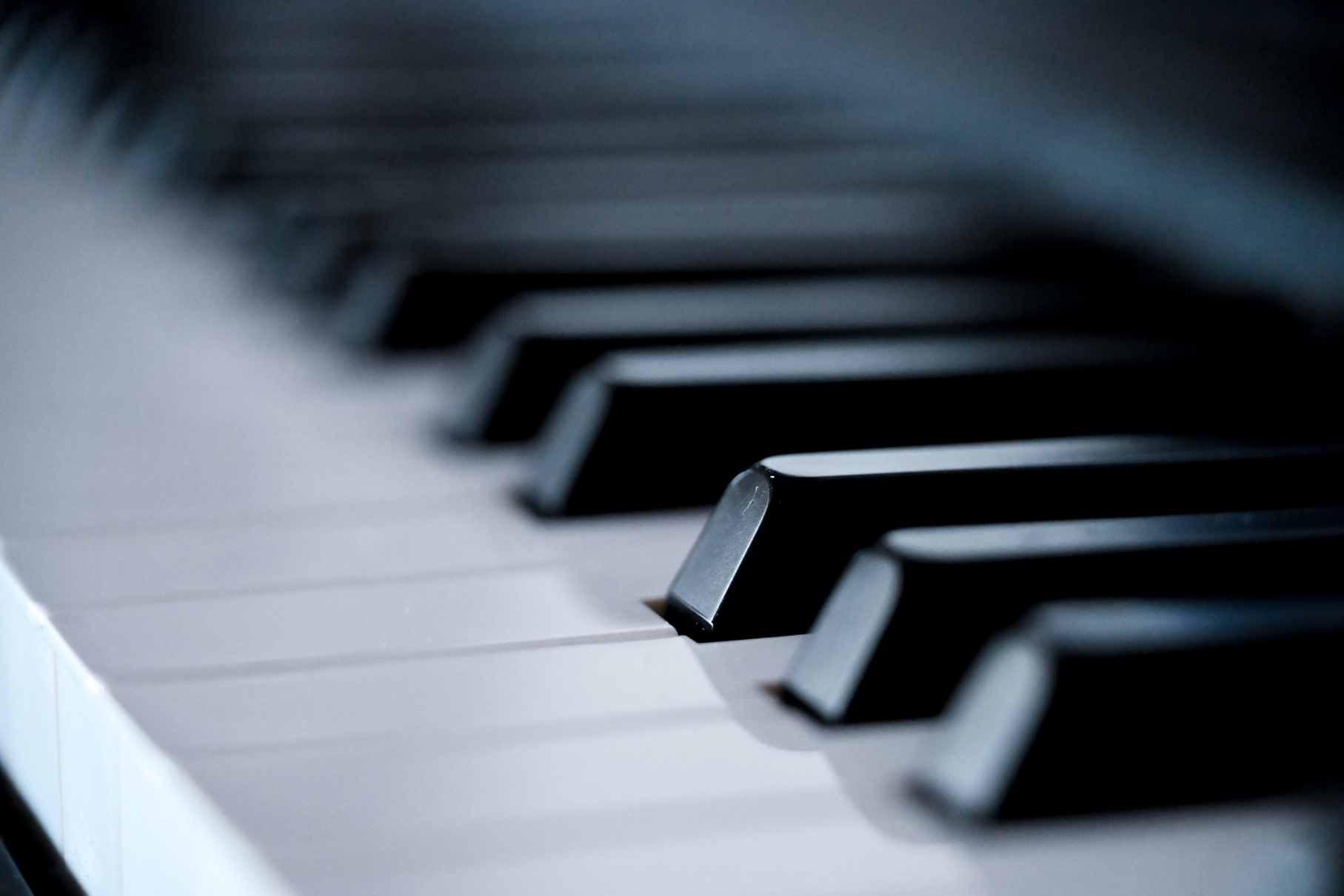Piano — Jeremy Denk programme illustration from the brochure